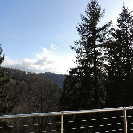 Gite Esperanza Spa Et Sauna Haselbourg エクステリア 写真