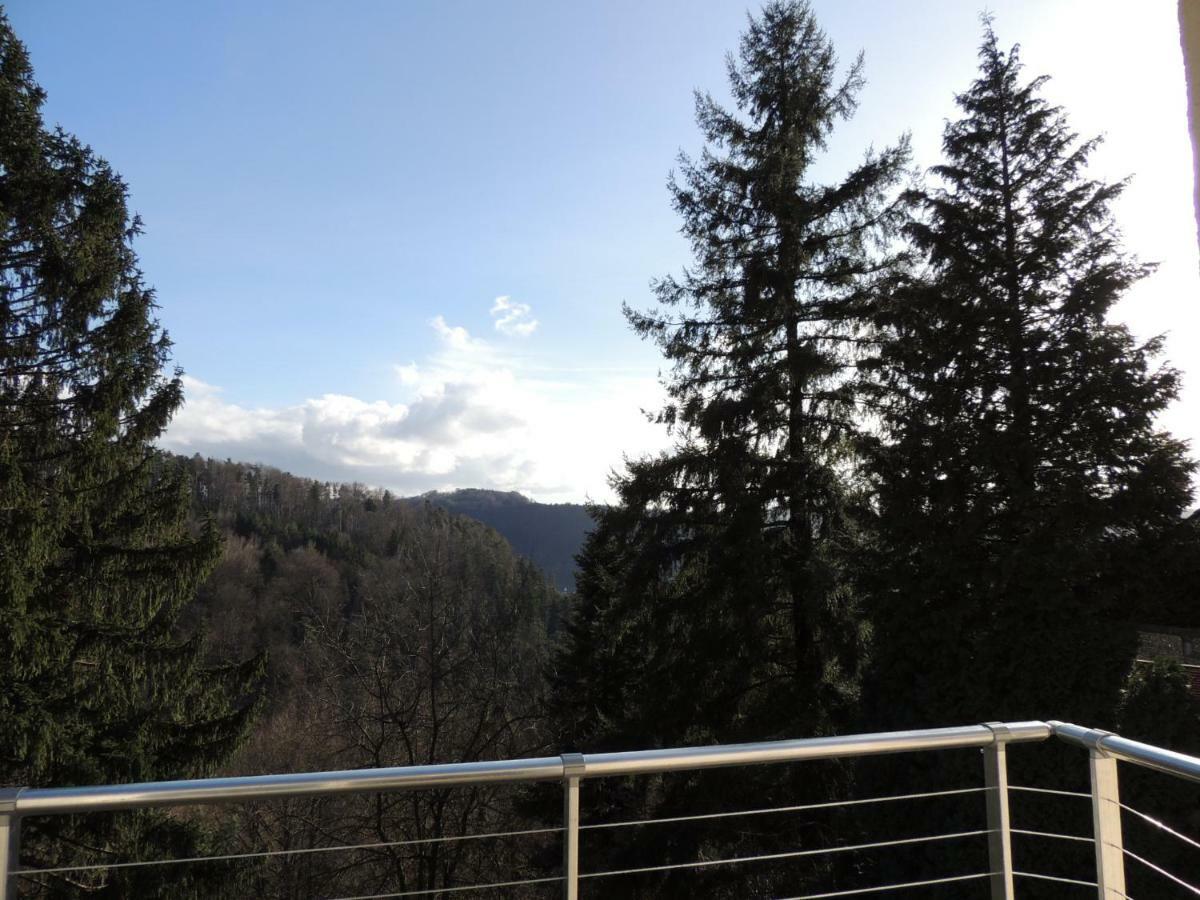 Gite Esperanza Spa Et Sauna Haselbourg エクステリア 写真